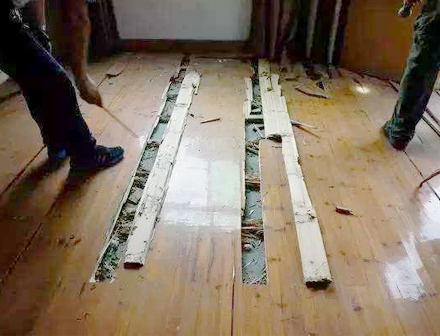重慶家庭滅白蟻施工案例